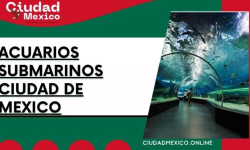 7974-Acuarios-submarinos-Ciudad-de-Mexico