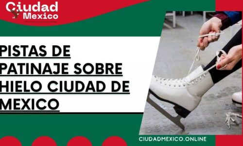 7976-Pistas-de-patinaje-sobre-hielo-Ciudad-de-Mexico