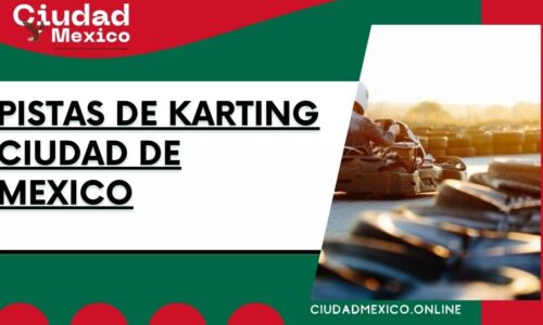 7979-Pistas-de-karting-Ciudad-de-Mexico