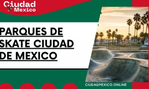 7981-Parques-de-skate-Ciudad-de-Mexico