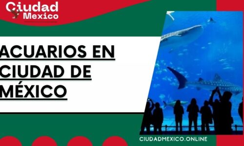 7991-Acuarios-en-Ciudad-de-México