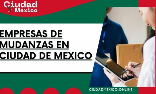 8285-empresas-de-mudanzas-en-ciudad-de-mexico