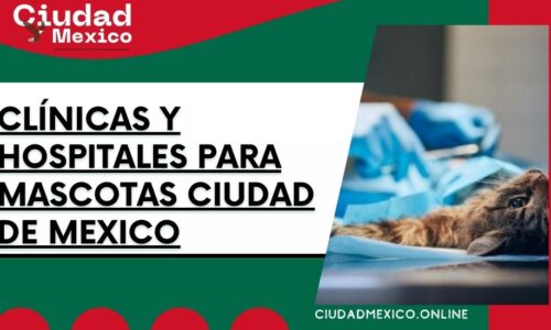 8413-clínicas-y-hospitales-para-mascotas-ciudad-de-mexico
