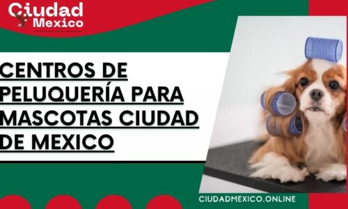 8415-centros-de-peluquería-para-mascotas-ciudad-de-mexico