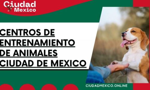 8416-centros-de-entrenamiento-de-animales-ciudad-de-mexico