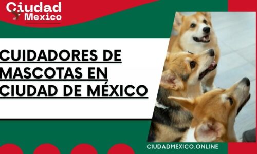 8417-cuidadores-de-mascotas-en-ciudad-de-méxico