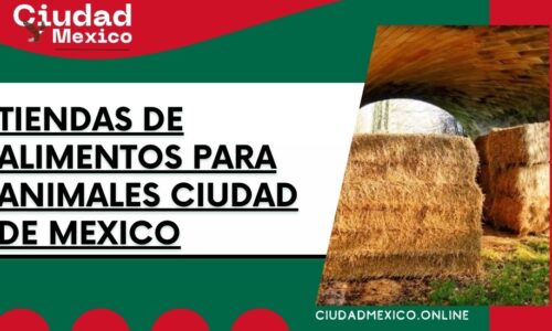 8419-tiendas-de-alimentos-para-animales-ciudad-de-mexico