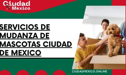 8421-servicios-de-mudanza-de-mascotas-ciudad-de-mexico