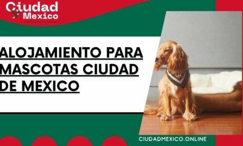 8422-alojamiento-para-mascotas-ciudad-de-mexico