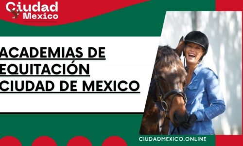 8669-academias-de-equitación-ciudad-de-mexico