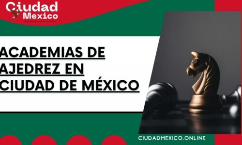 8670-academias-de-ajedrez-en-ciudad-de-méxico