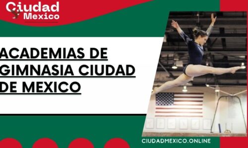 8672-academias-de-gimnasia-ciudad-de-mexico
