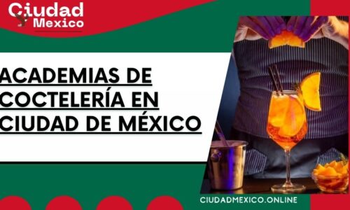 8673-academias-de-coctelería-en-ciudad-de-méxico