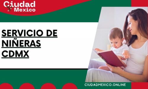 servicio de niñeras cdmx